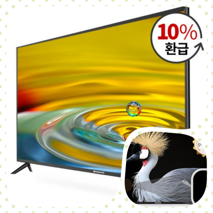  폴라로이드 HD LED 81cm 무결점 TV CP320H, 119,000원