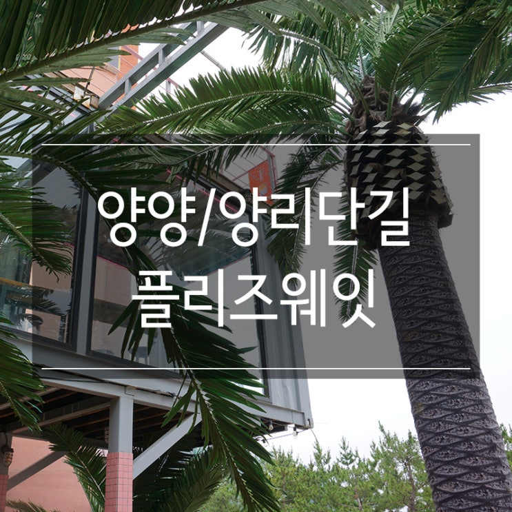 양양카페 <플리즈웨잇> 양리단길 분위기 좋은 곳 휴양지 느낌 물씬 양양카페 <플리즈웨잇> 양리단길 분위기 좋은 곳 휴양지 느낌 물씬
