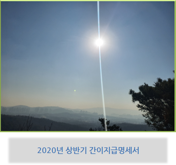  2020년 상반기 간이지급명세서 제출 - 국세청 자료