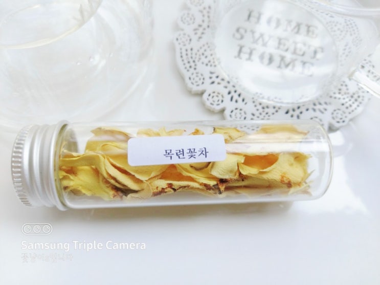  목련꽃차의효능 알고보니 비염치료약이군요 