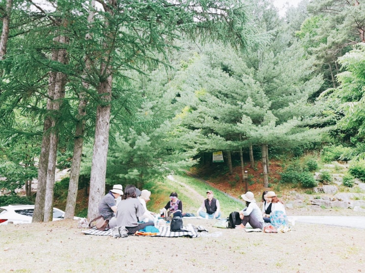  독서모임 그 이상의 인문학 수업 숲속의 인문학이 사북공공도서관에 있어요