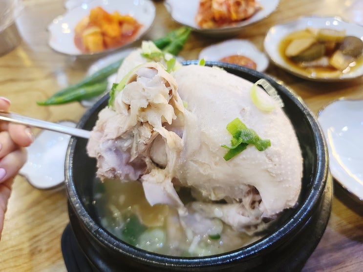 군자 삼계탕 진한방삼계탕 만나정에서 든든하게 군자 삼계탕 진한방삼계탕 만나정에서 든든하게