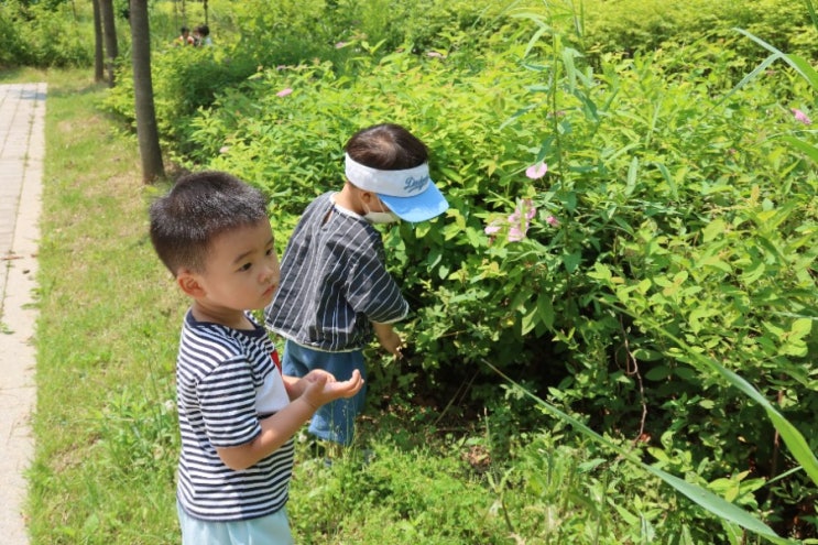  4살 아이 눈깜빡임, 눈 알레르기