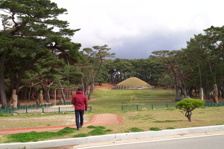  2020 경주 왕릉 알아가기 6차(7번국도변, 외동 원성왕릉, 현곡 진덕여왕릉, 안강 흥덕왕릉)