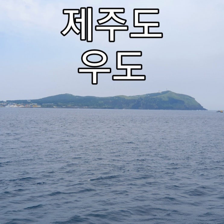   [제주도] 이쁜섬 '우도'