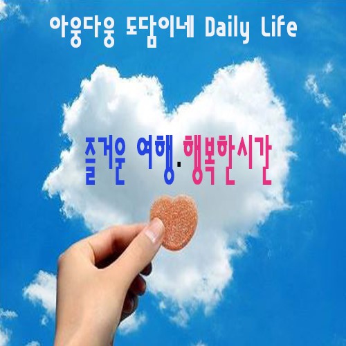 강릉가족여행 / 키즈펜션 / 대관령양떼목장 / 강릉아쿠아리움