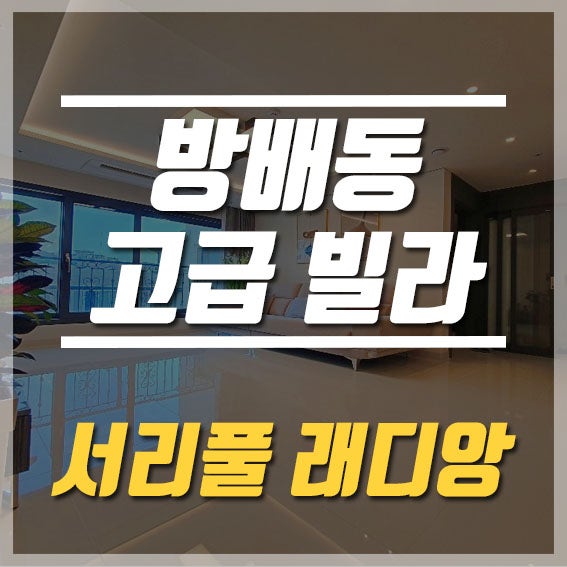  방배동 고급빌라 느낌 그대로 서리풀래디앙 분양,전세 눈에 확 들어오는 비주얼