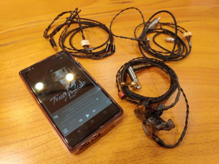  브리즈 오디오의 레퍼런스 라인 STR7 커스텀 케이블 간단 청음기 (Brise Audio STR7 Cable)