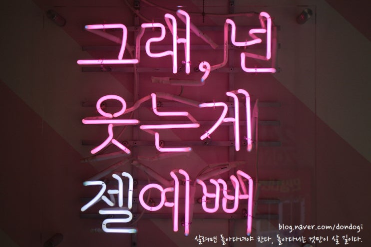  수원 수원역맛집 육풍 - 역전에 이런 번화가가 있었네? 이렇게 쫄깃한 삼겹살은 처음