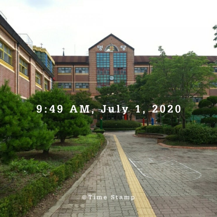 매일걷기 습관만들기 매일걷기 습관만들기