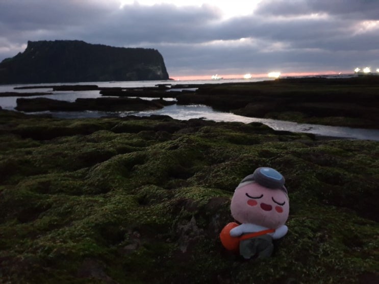 제주 인터넷 면세점 쇼핑