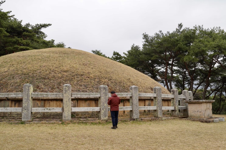   2020 경주 왕릉 알아가기 3차(내남권역, 망산)