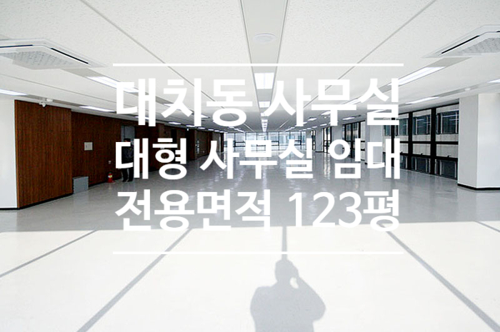 [대치동] 선릉역 대로이면 123평 대치동 대형 사무실 임대