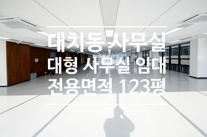  [대치동] 선릉역 대로이면 123평 대치동 대형 사무실 임대