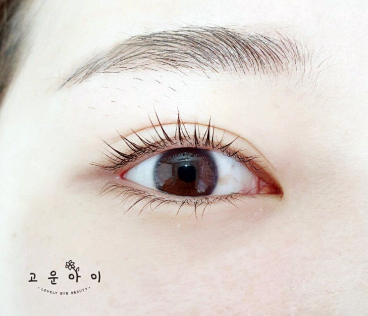  속눈썹&왁싱 제주도민 최대 44% 할인쿠폰 정보! (제주시 연동)