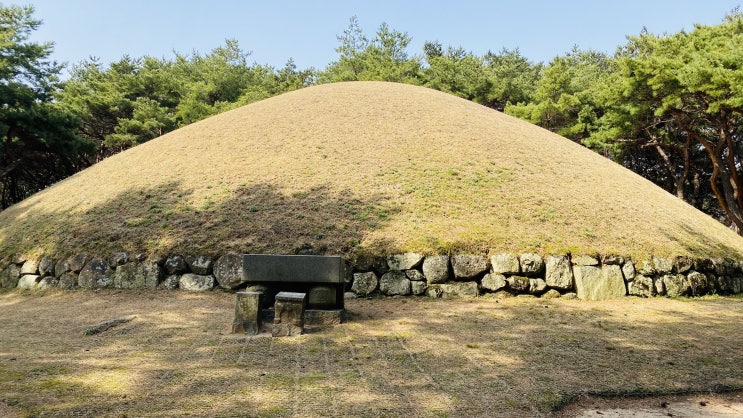   2020 경주 왕릉 알아가기 2차 (소금강산, 보문들, 낭산둘레길)