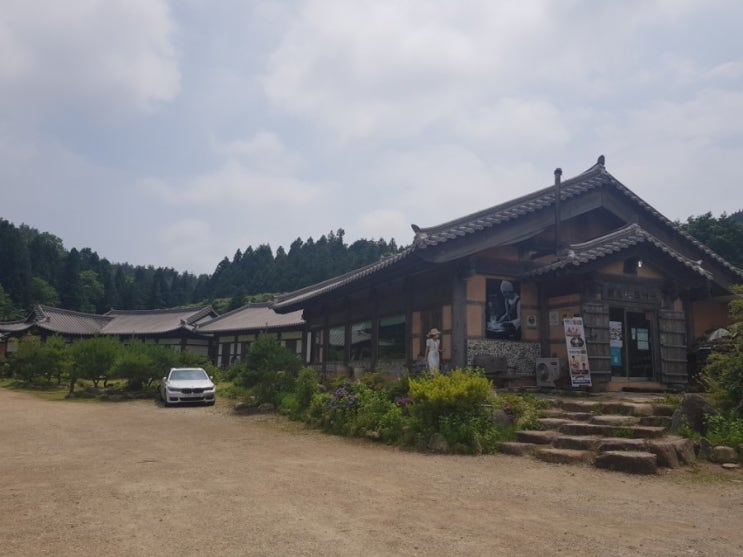  블로그키우기 곧 일1000명갈것같은데