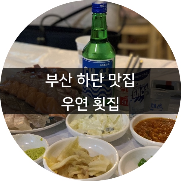  [부산맛집] 부산 하단동 맛집 x 우연횟집