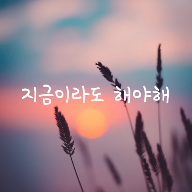  스트레스~~  케이크가 땡긴다. 작업에 집중해!!