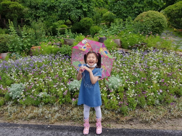  아침고요수목원 사진찍기좋은곳 비오는날 가도 좋아요