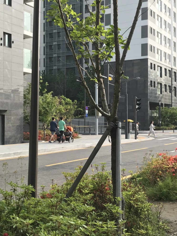  무주택자 특별공급으로 아파트 청약하기 (신혼부부특별공급, 생애최초특별공급)