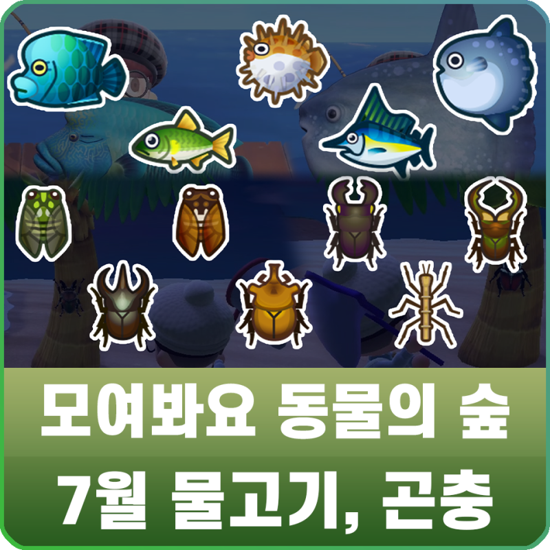 모여봐요 동물의 숲 모동숲 7월 물고기, 곤충 도감 및 가격 공략 : 네이버 블로그