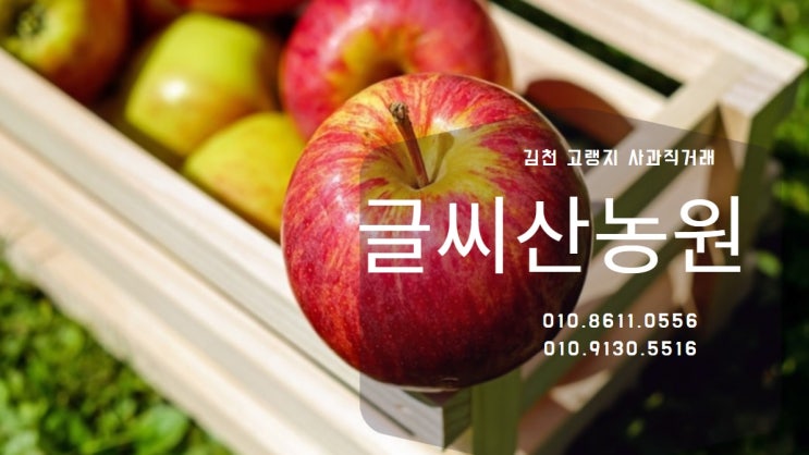  [글씨산농원 부사 사과] 경북 김천 사과/사과즙 추천