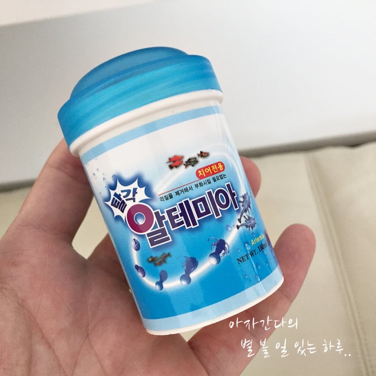  물생활 구피 배마름, 복수병 물고기 사료 교체 추천