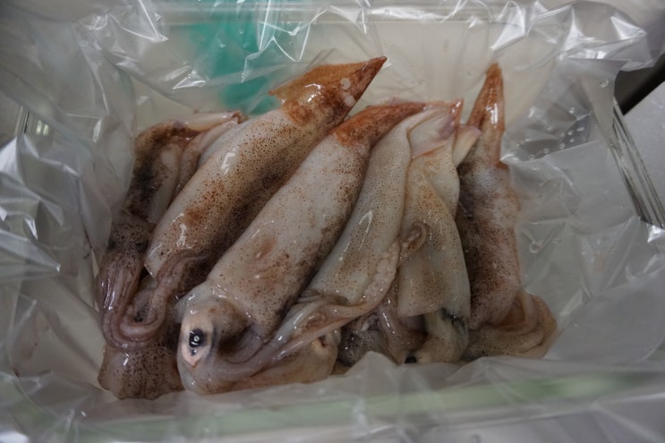  시골상회 총알오징어 쪄서 먹는법