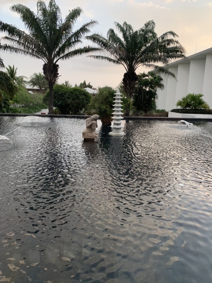  [ 베트남/호이안] 꿈같았던 신혼여행️ Day 2