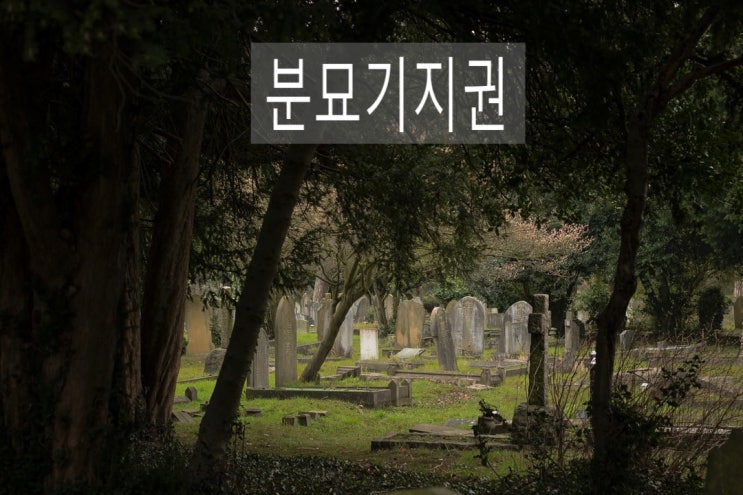  분묘기지권