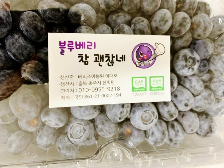  베리조아농장블루베리 이대호대표님의친환경무농약 블루베리참괜찮네구입하는방법,블루베리효능,맛있게먹는방법