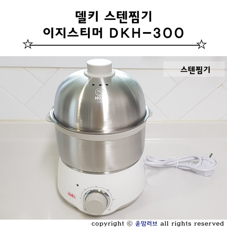 전기 스텐찜기 델키 이지스티머 DKH-300 리얼 사용 후기