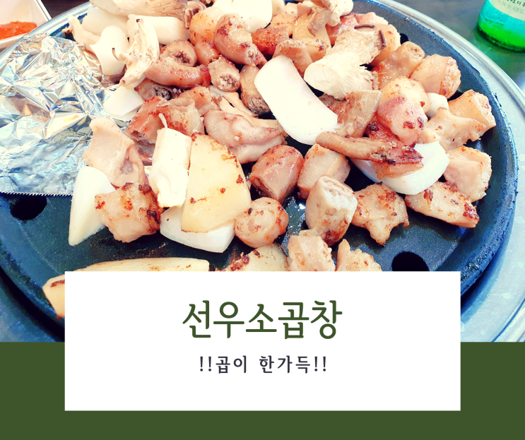  어떤 조합으로도 맛있는 곱이 한가득 잠실 선우소곱창