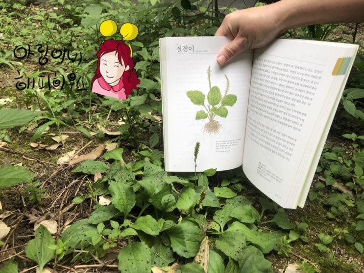  즐거운 마음으로 탐험을 떠나요/도감 들고 빼빼로 찾기?