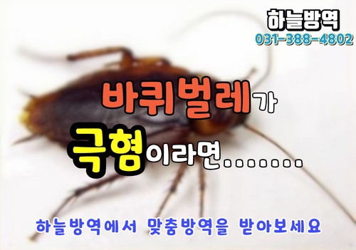  군포 소독 및 바퀴벌레 퇴치 업체 찾으시나요?? 하늘방역 만한 곳이 없습니다.