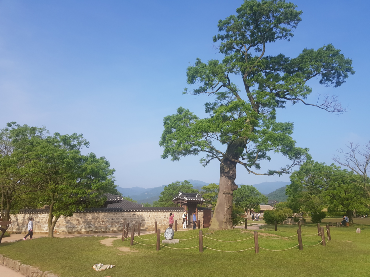  주말 가볼 만한 곳 충남 서산 여행지 해미읍성 데이트