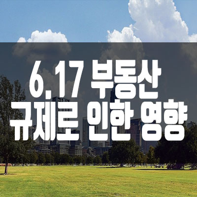 6.17 부동산 규제로 인한 영향 6.17 부동산 규제로 인한 영향