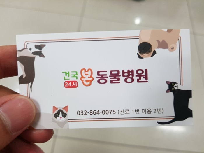인천24시동물병원 24시진료가가능한 24시건국동물병원 소개합니다 인천24시동물병원 24시진료가가능한 24시건국동물병원 소개합니다