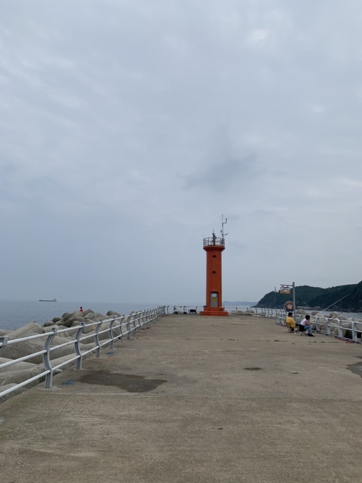  삼척임원항 회센터 꼭 들려야 하는 삼척회맛집