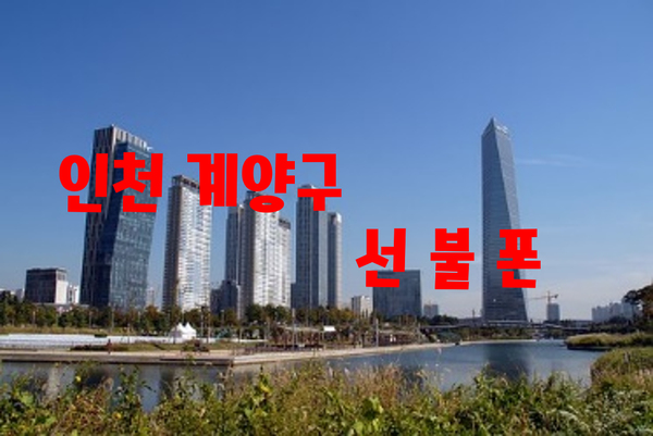 인천선불폰 핸드폰분실로 유심재발급 기존번호해지까지 출장으로 그자리에서 바로처리