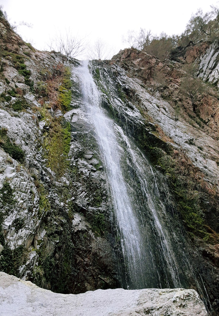  Bonita Falls in Mt. San Antonio | 보니타 폭포
