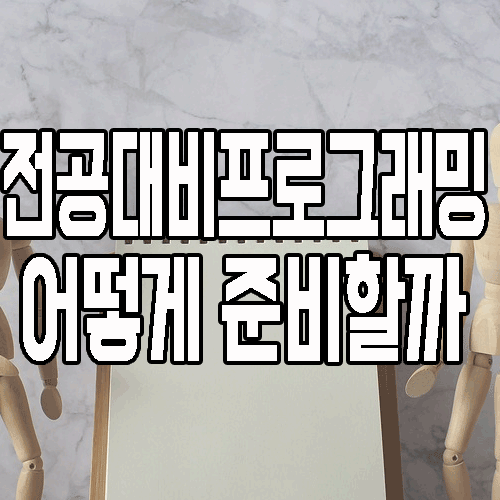  컴퓨터 프로그래밍 기초 전공대비 취업까지