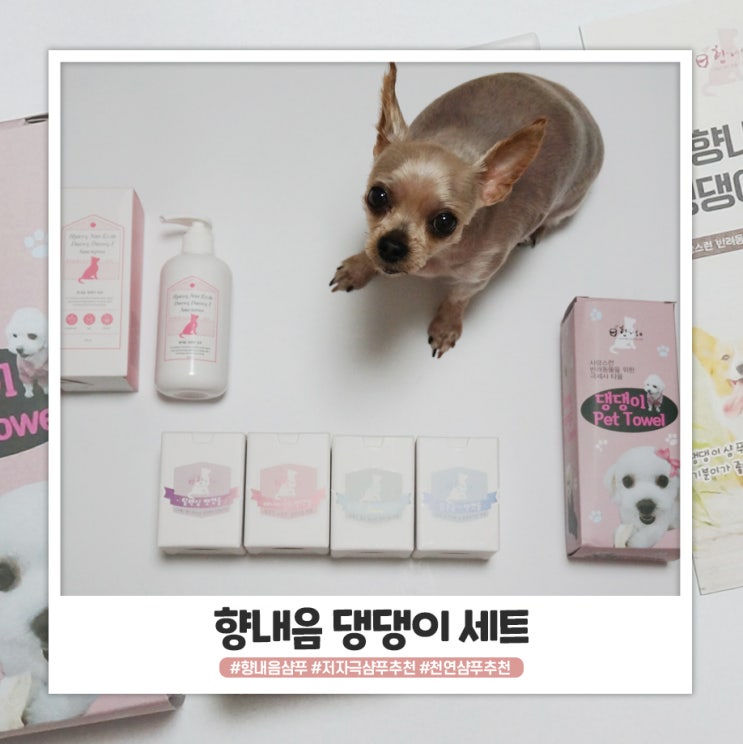 댕댕이샴푸 향내음 세트로 샤워부터 힐링까지 해결 댕댕이샴푸 향내음 세트로 샤워부터 힐링까지 해결