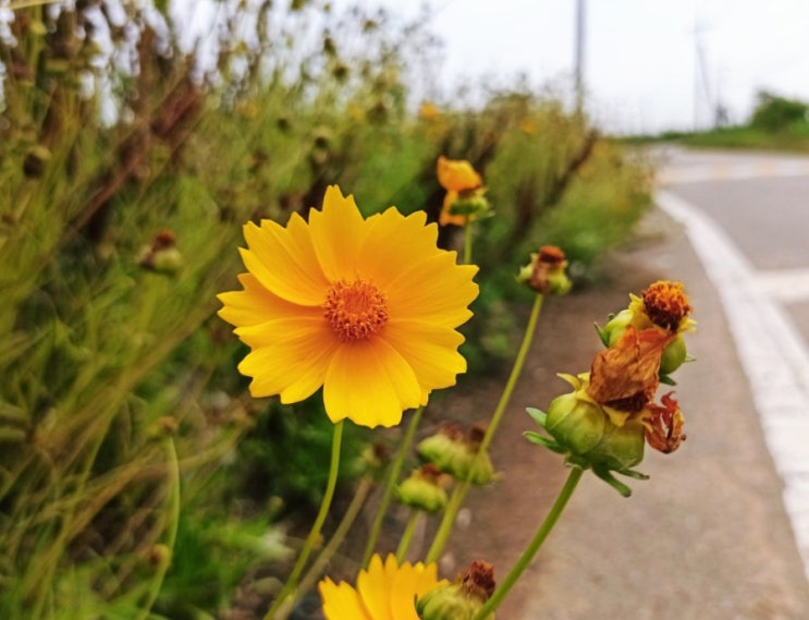  전원마을 1박 2일 이사 청소, 일산 파주 김포 강화까지 엣지 있게
