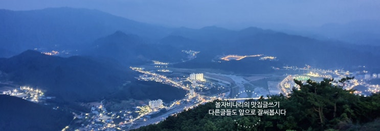  놀자비나리의 맛집리뷰 적는법