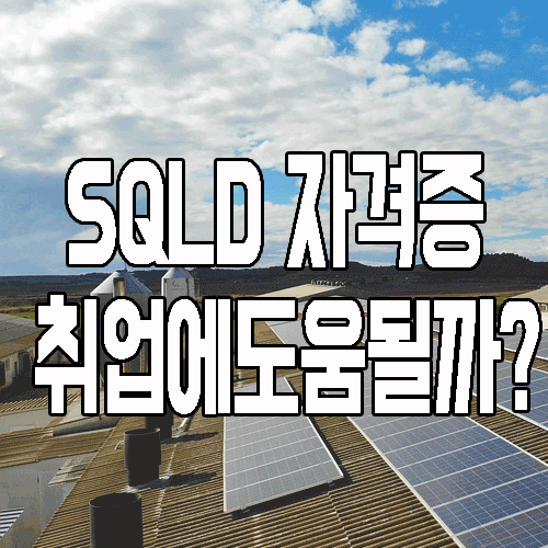  데이터전문가 취업에 SQLD 자격증 취득이 필요할까?