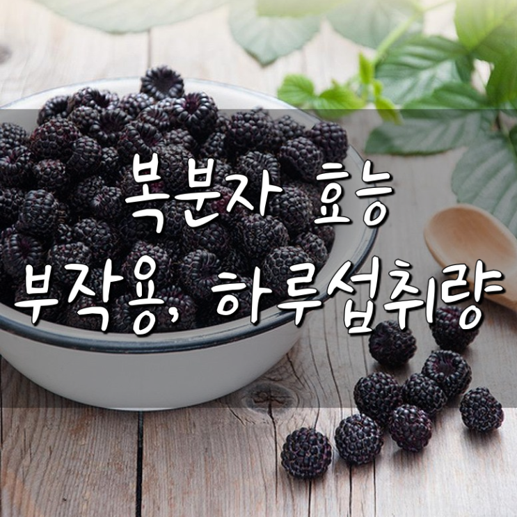 복분자 효능,부작용 ,하루섭취량 바로 알고 먹기(feat.고창)