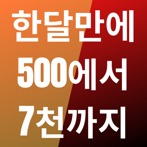  조회수 1,313%증가, 브랜드블로그 성공사례