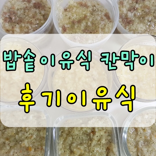 밥솥이유식 칸막이로 후기이유식 만들기 (쿠쿠 6인용) 쿠킹딜라잇